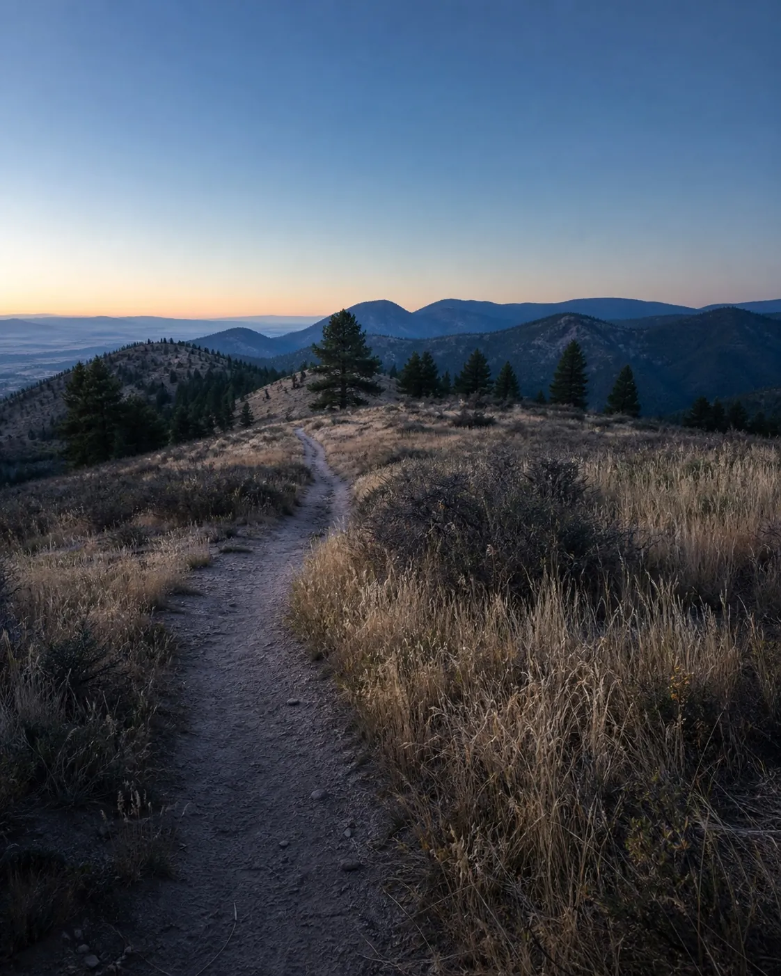 A trail through the northern Colorado foothills at dawn